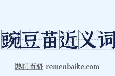 豌豆苗近义词是什么意思的图片